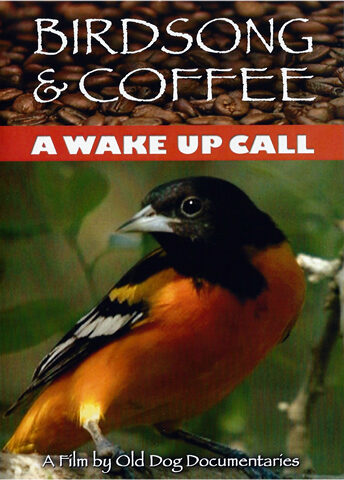 Birdsong and Coffee: A Wake Up Call